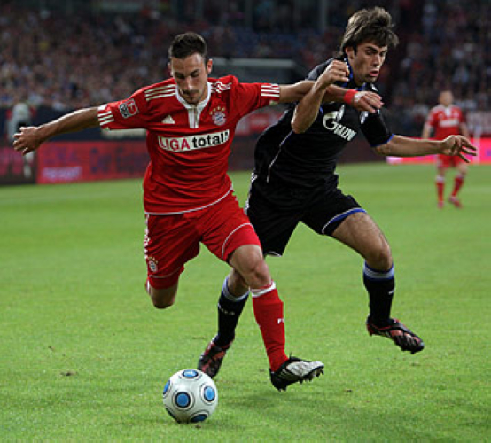 德拉古蒂诺维奇_(伊维卡·德拉古蒂诺维奇)