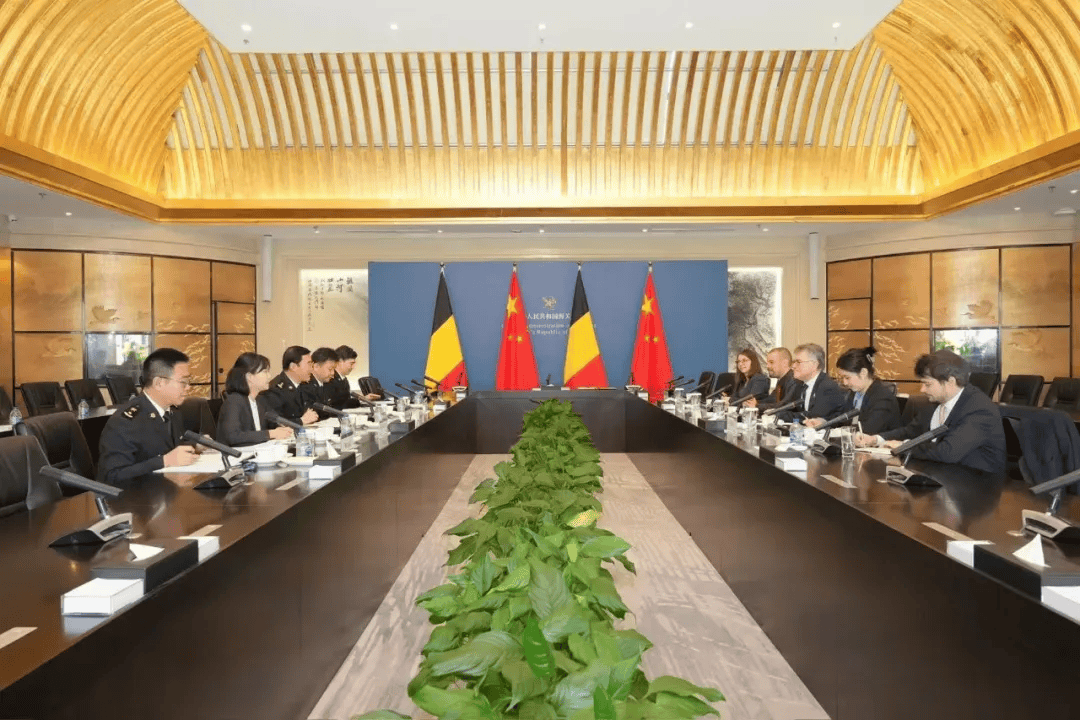 比利时对俄罗斯_(比利时俄罗斯女篮视频)