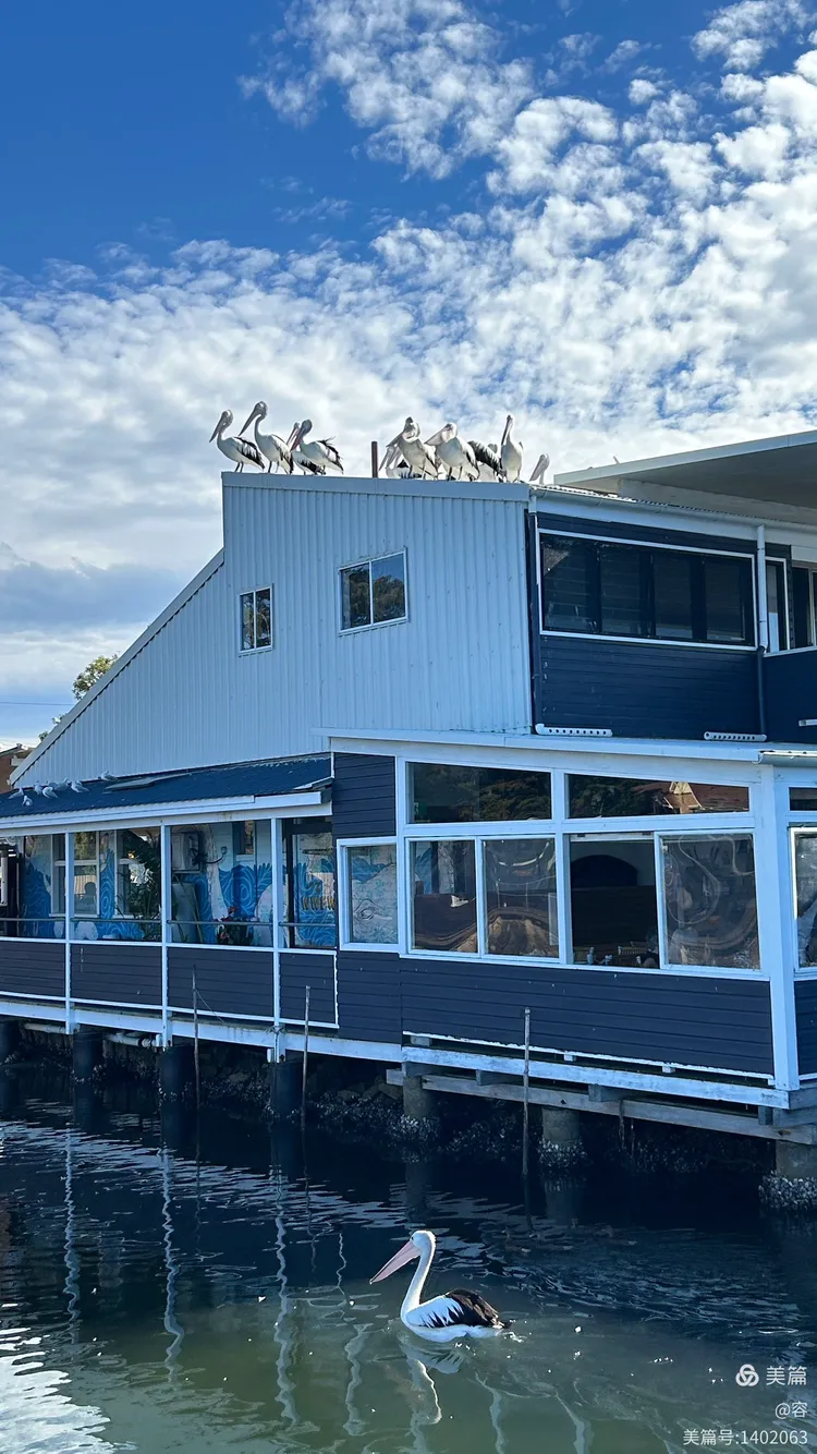 中央海岸_(中央海岸赛程比分500彩票网)