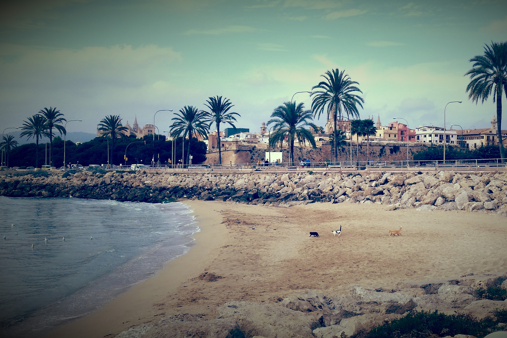 关于尼日联：第一银行VS拉各斯竞技的信息