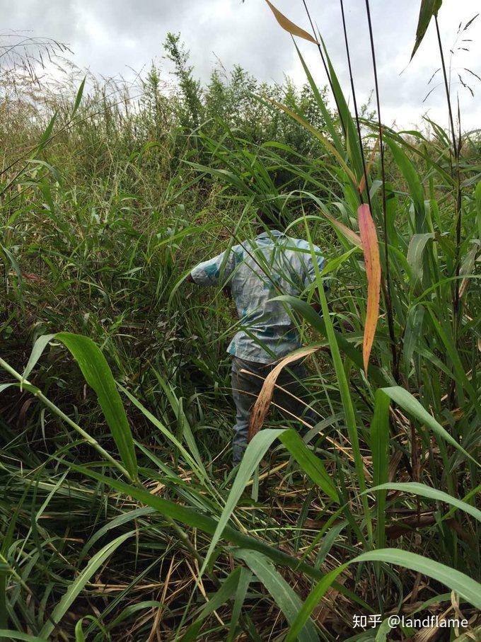 坦桑超:喷泉门VS坦桑尼亚监狱的简单介绍 坦桑超:喷泉门VS坦桑尼亚监狱的简单介绍