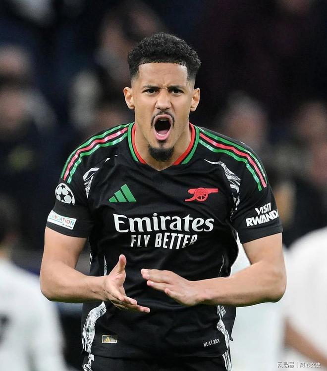 皇马签萨利巴可能性正减弱皇马考虑进一步补强防线的简单介绍