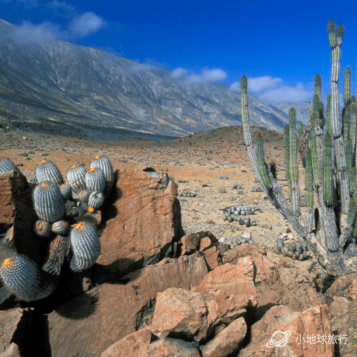 关于智利乙:安图法加斯塔VS迪康塞普森的信息 关于智利乙:安图法加斯塔VS迪康塞普森的信息