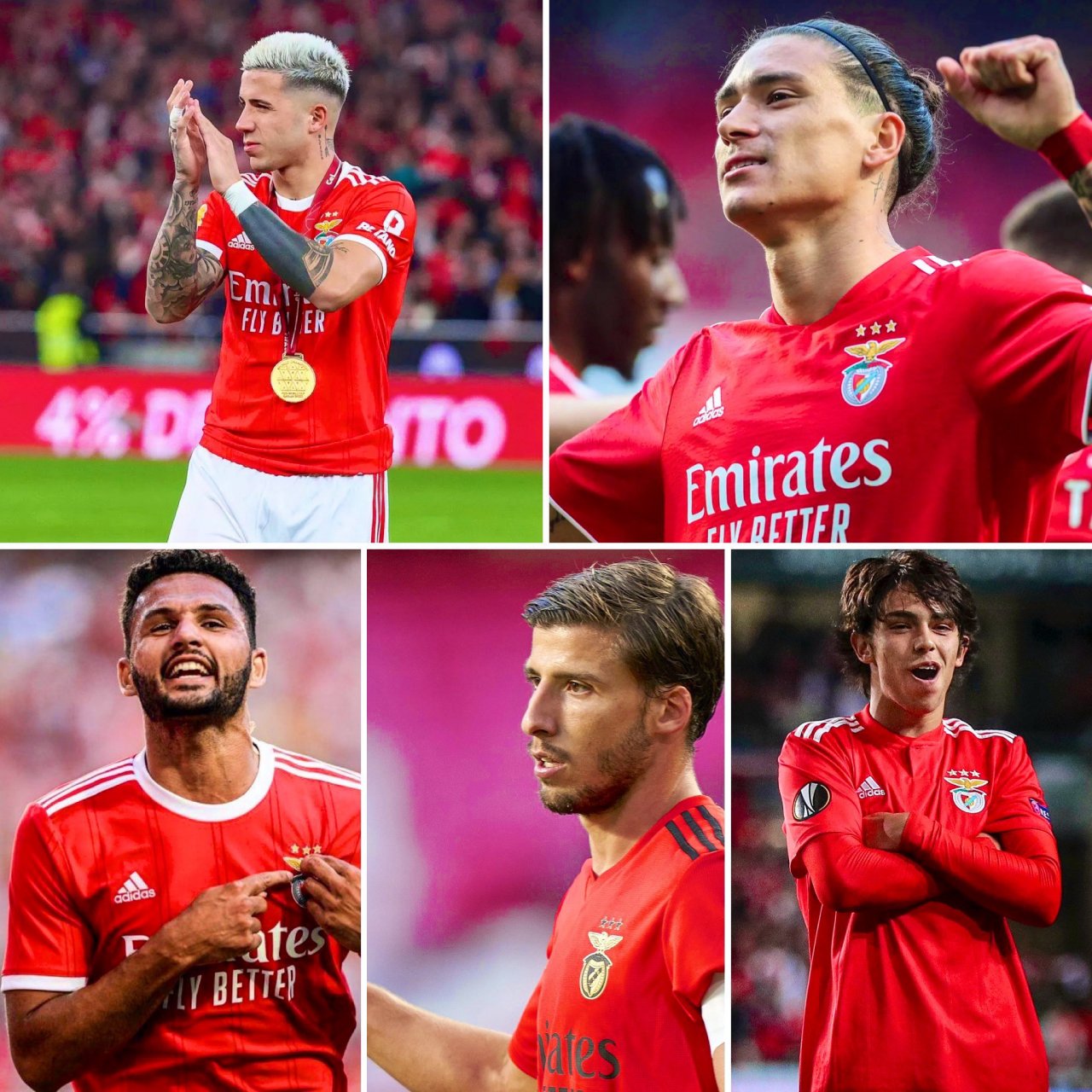 包含菲利克斯希望在夏窗回归本菲卡但多个因素制约交易的词条 包含菲利克斯希望在夏窗回归本菲卡但多个因素制约交易的词条