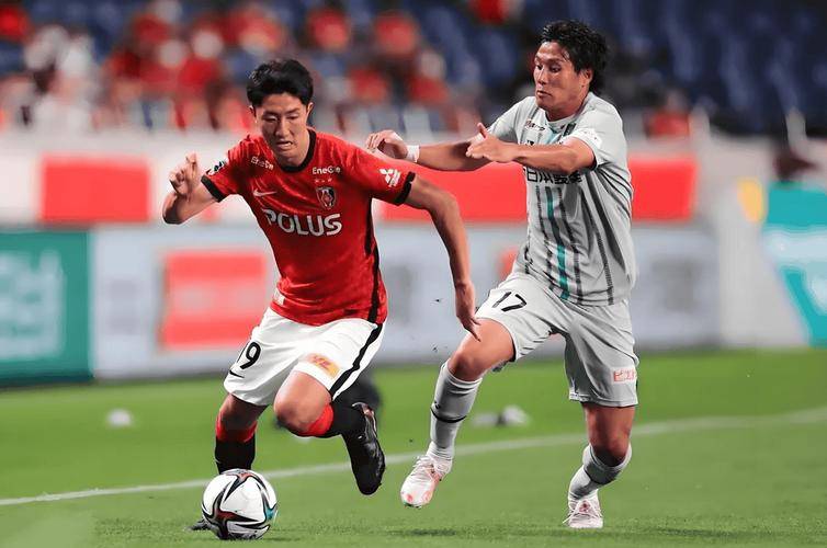 日联杯东京绿茵vs柏太阳神预测分析两支球队实力差距明显的简单介绍