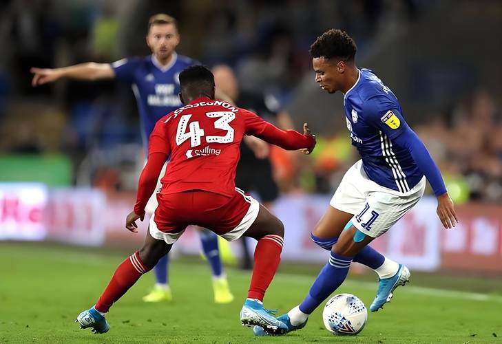 包含英超热刺1-4布赖顿欣谢尔伍德双响索兰克点射的词条