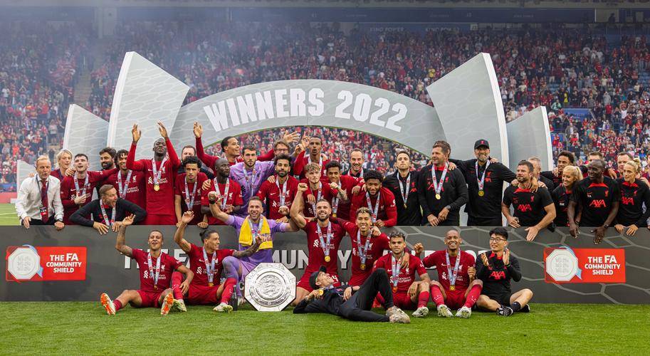 关于水晶宫今夏仅花230万欧引进2人拿下社区盾的信息  第2张