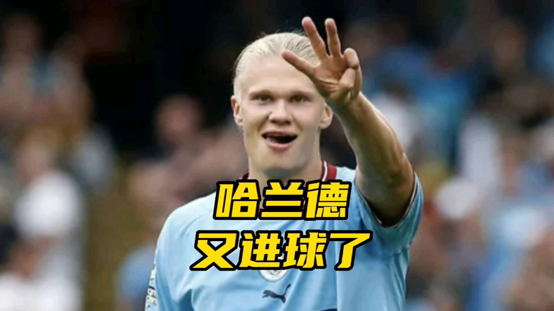 韦伯承认富勒姆进球无效是误判英超裁判再次引发争议的简单介绍