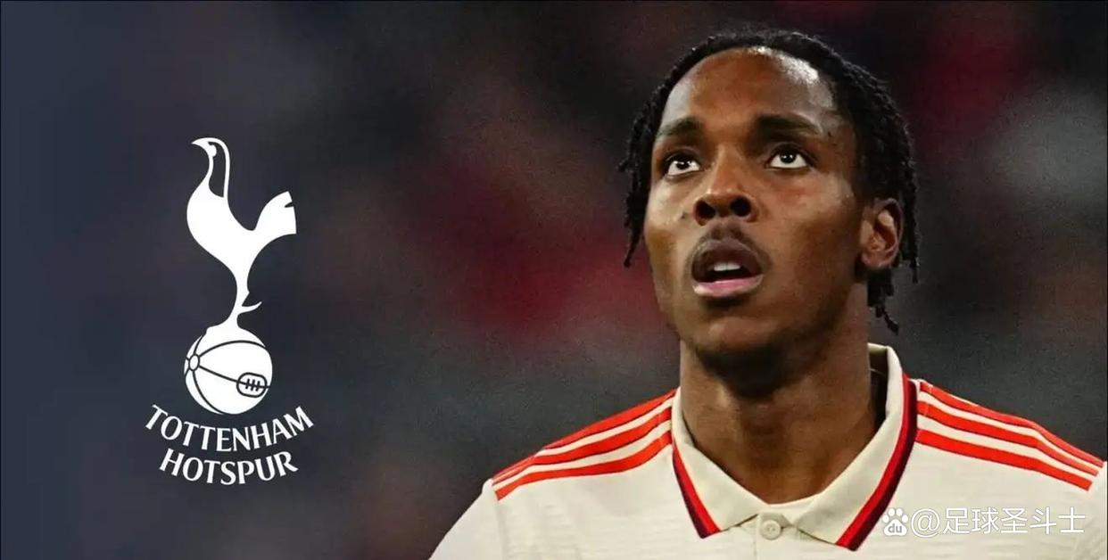 弗兰克出任热刺主帅双方签订三年合同  第2张