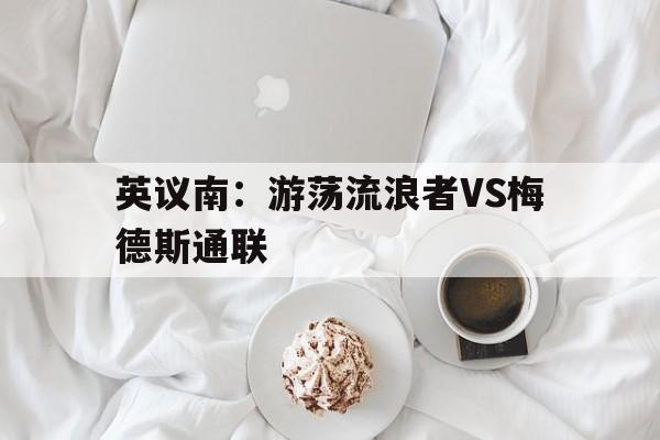 英议南：游荡流浪者VS梅德斯通联