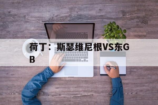荷丁：斯瑟维尼根VS东GB