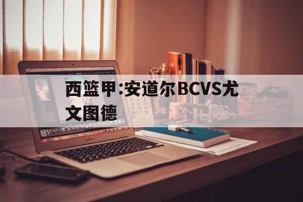 关于西篮甲:安道尔BCVS尤文图德的信息
