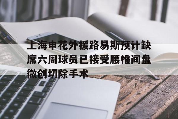 包含上海申花外援路易斯预计缺席六周球员已接受腰椎间盘微创切除手术的词条