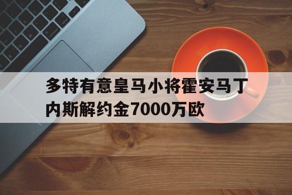 多特有意皇马小将霍安马丁内斯解约金7000万欧的简单介绍