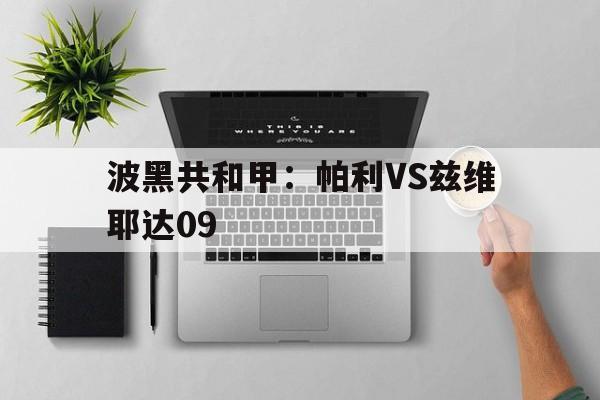 波黑共和甲：帕利VS兹维耶达09的简单介绍