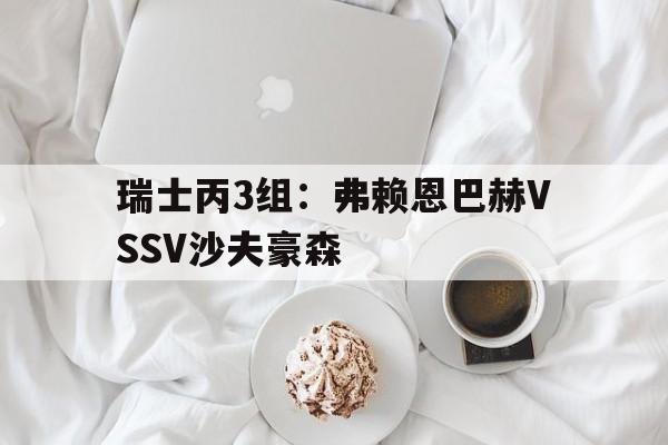 关于瑞士丙3组：弗赖恩巴赫VSSV沙夫豪森的信息